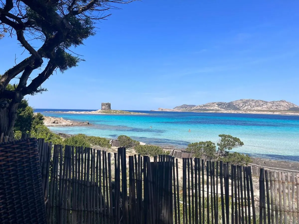 La Vela Apartment Stintino Italien
